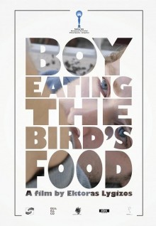 Boy Eating the Bird's Food